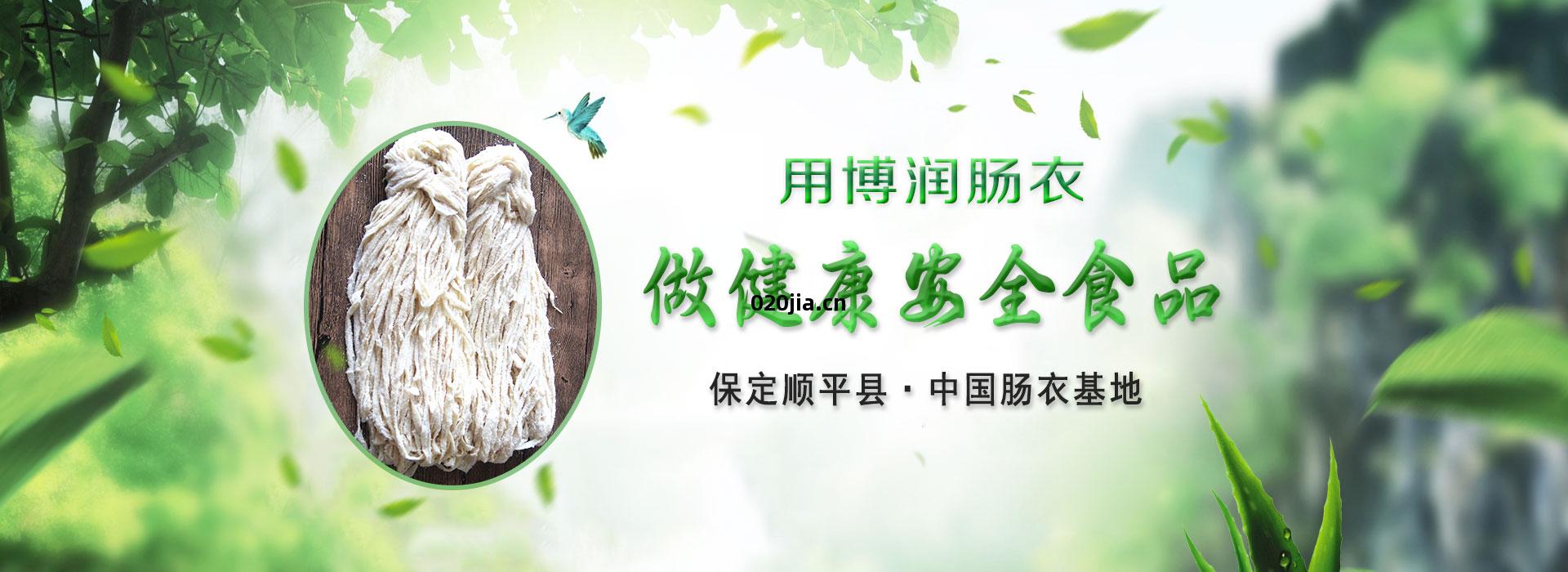 順(shun)平縣(xian)博潤腸(chang)衣(yi)有(you)限公司(si)