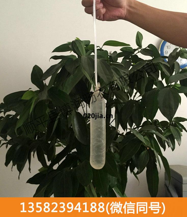 幹(gan)制(zhi)豬腸衣